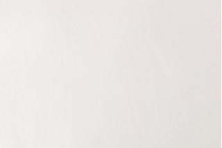Vega Backed Vinyl Upholstery Fabric in Cream
