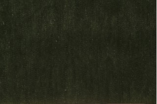 PK Lifestyles Kashmiri Velvet Upholstery Fabric in Moss