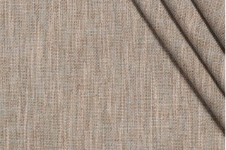 Richloom Oormi Woven Upholstery Fabric in Mist