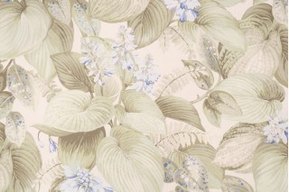 PK Lifestyles Hostas Meadow Printed Cotton Drapery Fabric in Summer