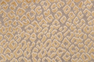 Hamilton Baxley Velvet Upholstery Fabric in Gold 
