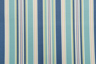 Richloom Eastbay Printed Polyester Outdoor Fabric in Seaspray 