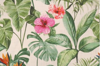 Hamilton Barbados Printed Drapery Fabric in Natural