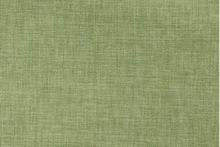 Richloom Rave Woven Polyester Outdoor Fabric in Palm