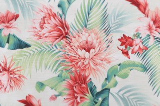 Tommy Bahama Harbor Island Printed Cotton Drapery Fabric in Aloe 
