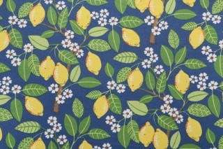 PK Lifestyles Lemon Tree Printed Polyester Outdoor Fabric in Indigo 