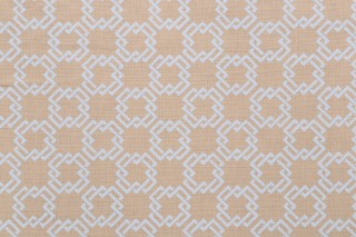 Bernard Thorp Oski on Corn Linen Printed Drapery Fabric in Cornflower for Scalamandre