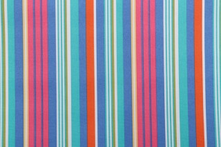 Bryant Fabrics Stripe Printed Polyester Outdoor Fabric in Multi