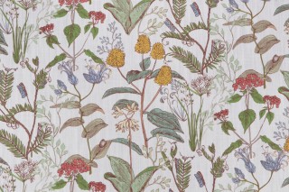 Lacefield Botanical Sketch Small Scale Printed Cotton Drapery Fabric in Multi 