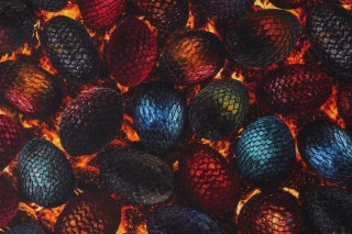 Timeless Treasures Dragon's Lair - Dragon Eggs Printed Cotton Craft Fabric in Bright 