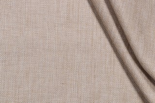 Groupie Woven Decorator Fabric in Alabaster