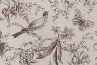 P Kaufmann Audubon Toile Printed Cotton Drapery Fabric in Parchment 