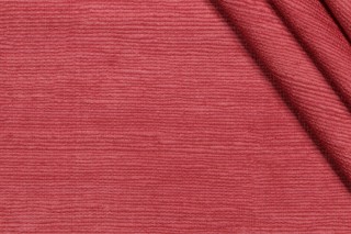 P Kaufmann Fraiser Printed Cotton Drapery Fabric in Rouge 