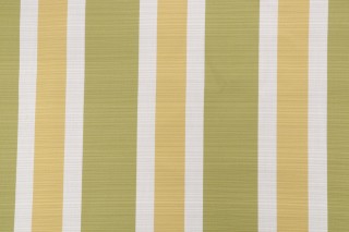 Darby Woven Outdoor Fabric in Spring