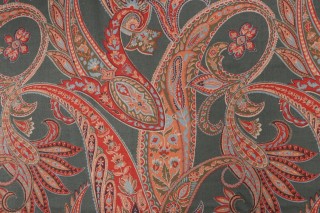 Scalamandre Hyden Printed Cotton Drapery Fabric