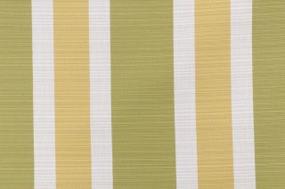Darby Woven Outdoor Fabric in Spring