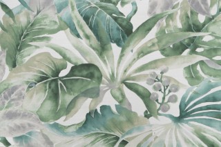 P Kaufmann Islandia Printed Cotton Drapery Fabric in Everglades