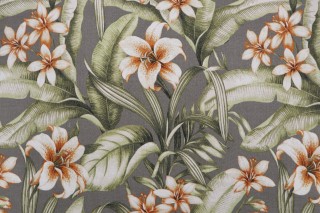 Bryant Fabrics Naya Printed Polyester Outdoor Fabric in Platinum