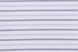 Seaside Woven Outdoor Fabric in Rain