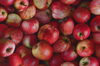 Fabrics Of SoHo Cider Season - Packed Apples Printed Cotton Craft Fabric in Red for Timeless Treasures 