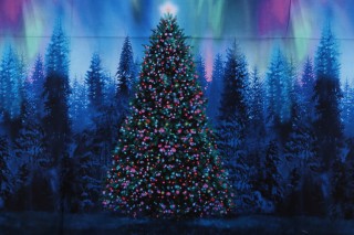 Fabrics Of SoHo Winter Light - Christmas Tree Aurora Borealis 24'' Panel Printed Cotton Craft Fabric in Night for Timeless Treasures 