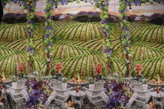 Dona Gelsinger Fabrics Of SoHo Wine Country - Beautiful Vineyard Sunset 24'' Panel Printed Cotton Craft Fabric in Black for Timeless Treasures 