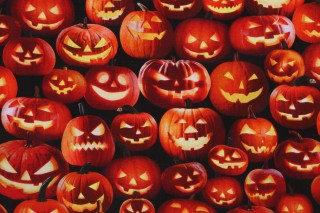 Fabrics of SoHo Packed Jack O'lanterns Printed Cotton Craft Fabric in Pumpkin for Timeless Treasures 