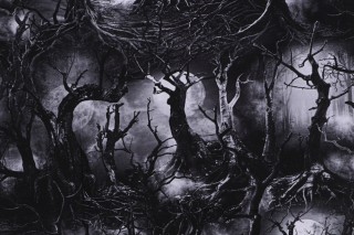 Fabrics of SoHo Wicked - Creeped Dead Trees Printed Cotton Craft Fabric in Spooky for Timeless Treasures 