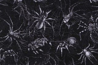 Fabrics of SoHo Wicked - Spiders on Webs Printed Cotton Craft Fabric in Charcoal for Timeless Treasures 