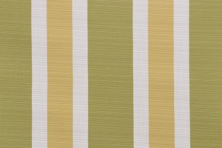 Darby Woven Outdoor Fabric in Spring