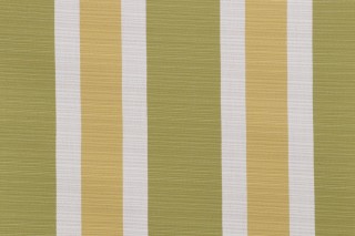 Darby Woven Outdoor Fabric in Spring
