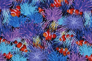 Timeless Treasures Ocean Life - Coral Reef Fish Printed Cotton Craft Fabric in Multi 