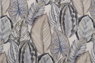 P Kaufmann Isla Verde Printed Cotton Drapery Fabric in Pebble 