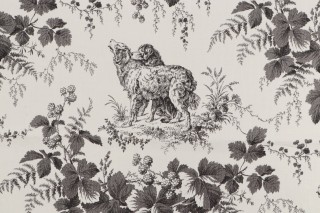 Thibaut Pedigree F99720 Printed Cotton Drapery Fabric in Black on Cream