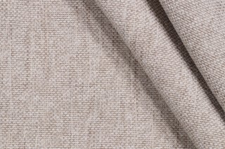 Burch Fabrics Syllabus Woven Crypton Home Finish Chenille Upholstery Fabric in Salt