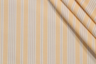 Titley & Marr Wenham Printed Drapery Fabric in Cream for Scalamandre