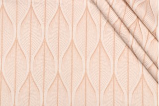 Richloom Respite Embroidered Drapery Fabric in Seashell
