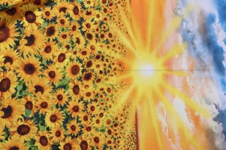 Timeless Treasures Sunflower Sunset Panel Printed Cotton Craft Fabric in Sunset