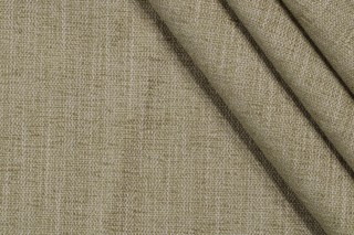 Edward Woven Upholstery Fabric in Spring