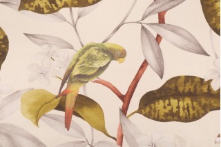 Covington Hello Polly Printed Cotton Twill Drapery Fabric in 206-Greenery