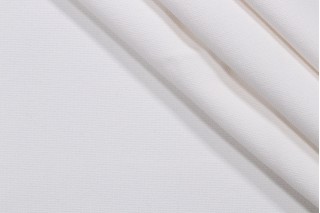 Discovery Woven Solution Dyed Acrylic Outdoor Fabric in Bone