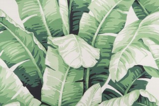 P Kaufmann Las Olas Printed Cotton Drapery Fabric in Green