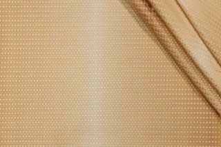 Scalamandre Dario Silk Decorator Fabric in Gold