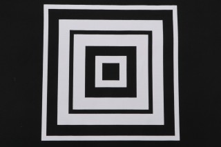 Bryant Fabrics Mitered Stripe 20''x20'' Printed Polyester Pillow Square Outdoor Fabric in Black 