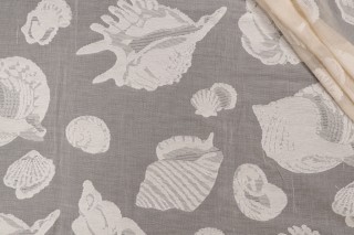 Grey Watkins Sheer Shells Lace Drapery Fabric in Natural for Scalamandre 