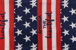 Bryant 17''x18'' Printed Polyester Pillow Square Outdoor Fabric in Patriotic