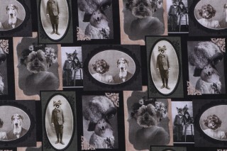 Timeless Treasures Howl You Doin? - Dog Vintage Portrait Printed Cotton Craft Fabric in Charcoal 