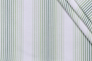 Tivoli Stripe Woven Decorator Fabric in Palm