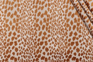P Kaufmann Meowww Grospoint Velvet Upholstery Fabric in Amber 