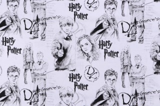 Harry Potter Licensed Mystery Of Magic Printed Cotton Craft Fabric 
